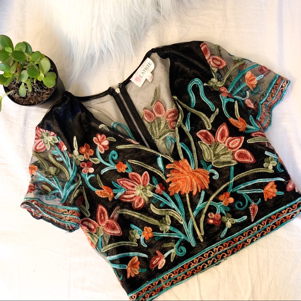 Beautiful mesh crop top